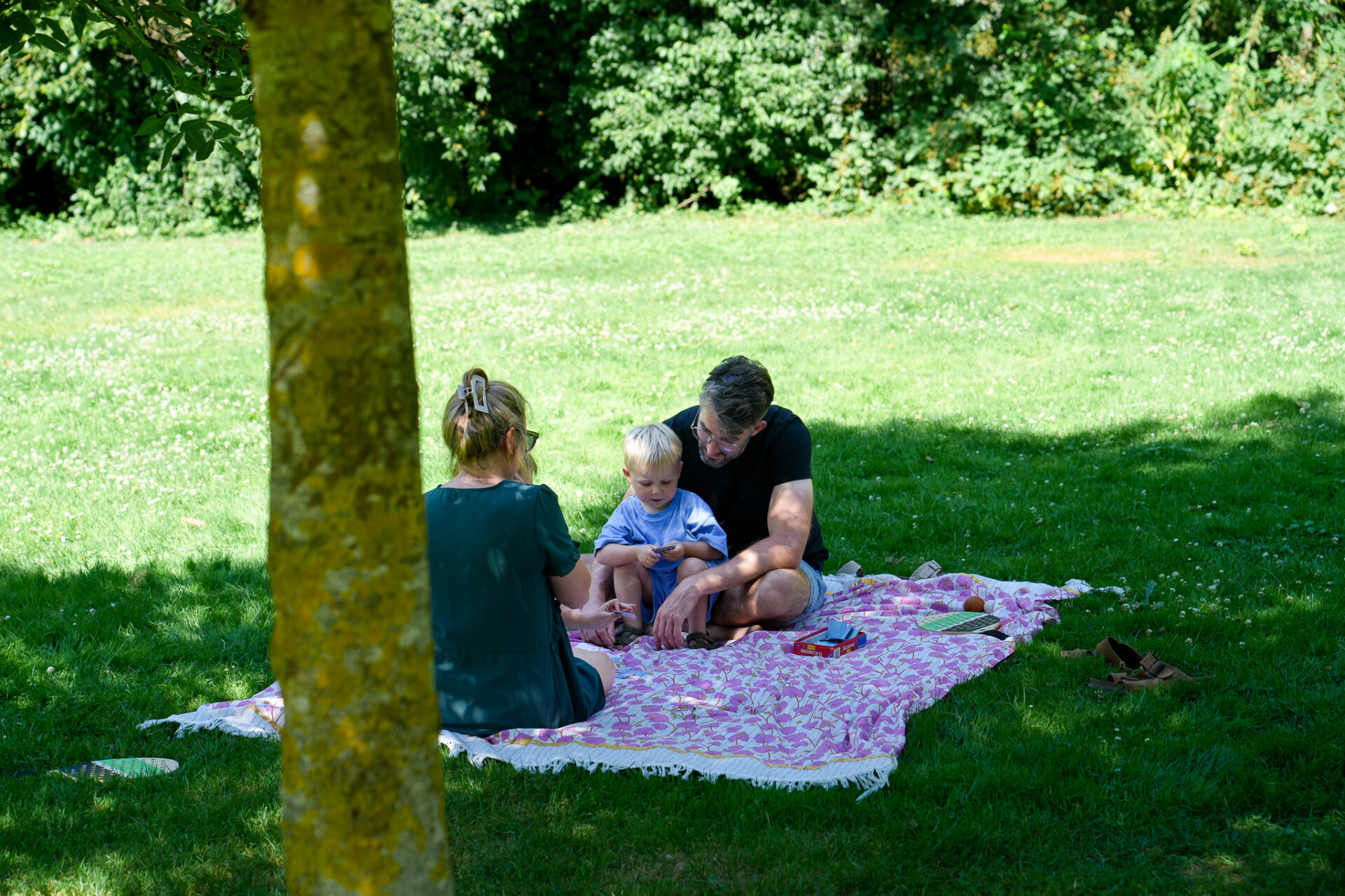 Gezin op een picknickkleed in het gras